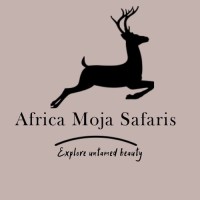 Africa Moja Safaris logo - Similar company to Nomaquito Ug (Haftungsbeschränkt)