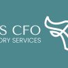 SaaS CFO logo - Similar company to Restomontreal.Ca