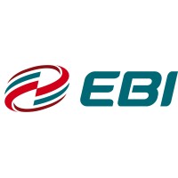 EBI S.r.l. logo - Similar company to Viesselab