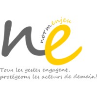 Normenjeu logo - Similar company to Ip Soft