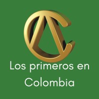 CENTRAL DE ANDAMIOS logo - Similar company to Armaequipos S.A.S - Acompañamos Sus Proyectos Con Equipos Certificados Y De Excelente Calidad