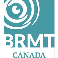 Blomberg Rhythmic Movement Training (BRMT) - Canada logo - Similar company to Acaman