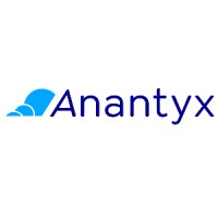 Anantyx LLC logo - Similar company to Acuity Systems, Llc