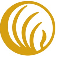 NAMI Central Virginia logo - Similar company to Nami Virginia