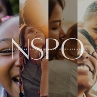 National Safe Parents Organization logo - Similar company to Thrive Ability