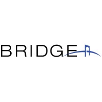 Bridge Industries logo - Similar company to At Cost Metals Affiliate Tim Mcfatridge