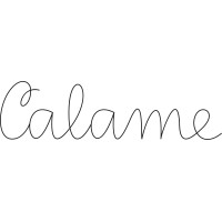 Calame logo - Similar company to Maze