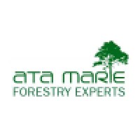 Ata Marie Group Ltd logo - Similar company to Global Ecocentric Konsultan