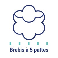 Les Brebis à 5 pattes logo - Similar company to The 5Th Element - Diversity