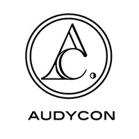 AUDYCON logo - Similar company to Loopa Analytics