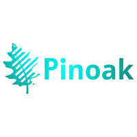 Pinoak Solutions logo - Similar company to Systemworks