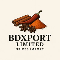 BDXPORT LIMITED logo - Similar company to Tevolution Ltd