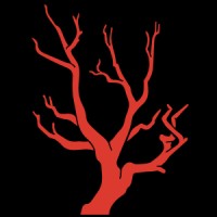 Manzanita Interactive logo - Similar company to Bears Smile