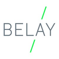 Belay Diagnostics logo - Similar company to Mesorna