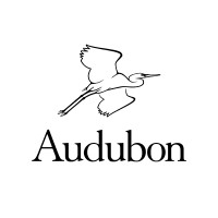 National Audubon Society logo - Similar company to Sierra Club