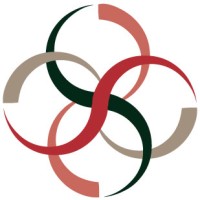 Payonk Consulting, Llc