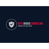 DBC Data Bridge Consulting logo - Similar company to National Services & Solutions