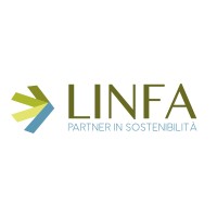 Linfa Consulting logo - Similar company to Linfa System Solutions