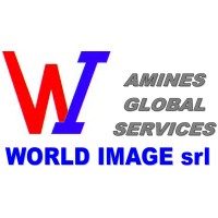 WI Amines Global Services logo - Similar company to World Image Srl