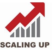 Creative Business Scaling logo - Similar company to Omnia Alliance Group