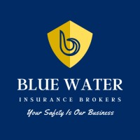 BLUEWATER INSURANCE TANZANIA logo - Similar company to The Exchange Africa