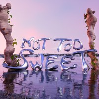 Not Too Sweet logo - Similar company to Sub:Bio Studios