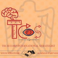 Tech Corp International Strategist (TCIS) logo - Similar company to Go Data Insights