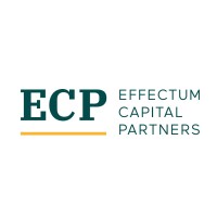 Effectum Capital Partners logo - Similar company to Acta