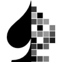 DigiSpade LLC