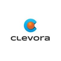 Clevora Global Outsourcing Services LLP logo - Similar company to Support Xpert