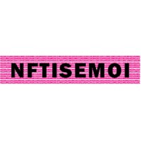 nftisemoi logo - Similar company to Darkstrategic