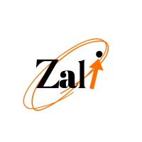 zalivio logo - Similar company to New Vision Servicing Group