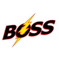 BOSS LTG logo - Similar company to Rock Solid Concrete