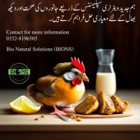 Bio Natural Solutions logo - Similar company to Mediscience Perú