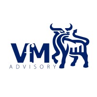 VfM Advisory Services logo - Similar company to Next Spin Limited