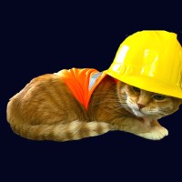 Workplace Safety Memes logo - Similar company to Safety Toolbox Talk