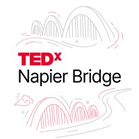 TEDxNapier Bridge logo - Similar company to Youth Talks