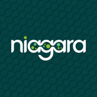 NIAGARA EU logo - Similar company to Mixmatters