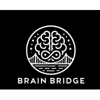 Brain Bridge logo - Similar company to Logikos, Inc.