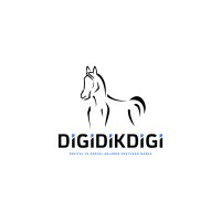 Digidikdigi logo - Similar company to Wise Soft Smart Solutions