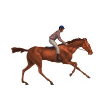 Stable Pictures logo - Similar company to Asher Young Studio