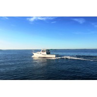MV Great Scott