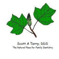 Scott A Terry, DDS