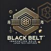 Black Belt™ (Corporate Innovation Consulting & Fund) logo - Similar company to Q.Inc