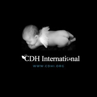 Cdh International Canada