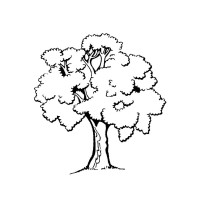 BerkConsult logo - Similar company to Dssr.