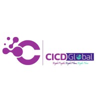 CICD Global logo - Similar company to Hit Infinity