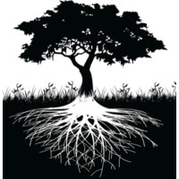 Coach Mentor Consult Limited - Lee Hawkins logo - Similar company to The Coach Directory