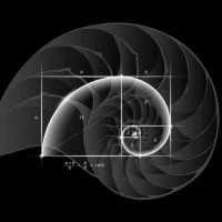 The Golden Ratio Consultants logo - Similar company to Unfurl Technologies