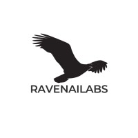 RAVENAILABS logo - Similar company to Ogrit Information Technologies